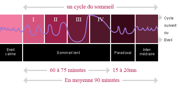 phases sommeil Quelques conseils pour bien dormir ?