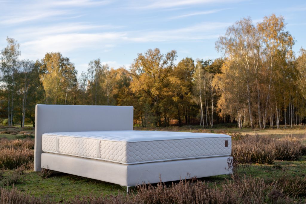 Matelas Latex 100% Talalay Anatole 3 5 ANATOLE Matelas Latex 100% Talalay Anatole