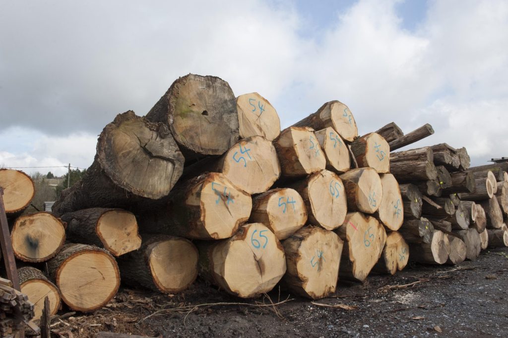 DSC4799 320 Fabrication à 1 heure de Paris