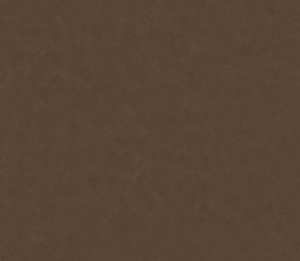 Tissu Hasena Casual Cannelle