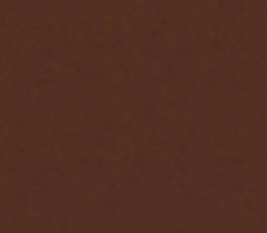 Tissu Hasena Casual Cognac