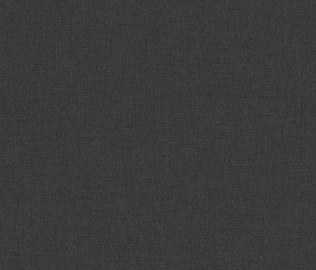 Tissu Hasena Alpina Anthracit