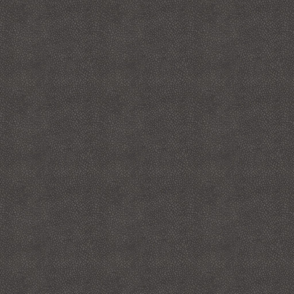 Hasena Rinovo Anthracite