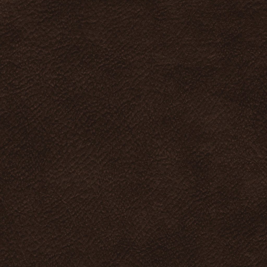 Hasena Buffalo Espresso