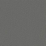 773 Boucle mouse HASENA Factory Line (Pieds Ivio + Tête Umbia)