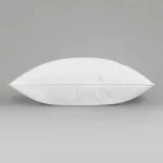 Oreiller Pyrenex Valan 10 Oreiller Pyrenex Valan (Horizontal)